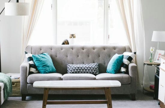 Sofa And Cat